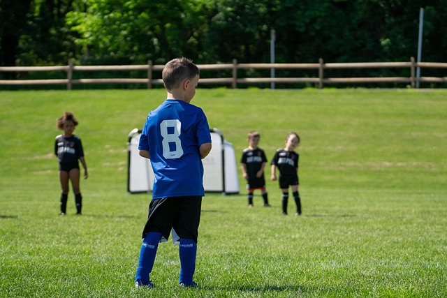 物的逼真动 物的逼真动