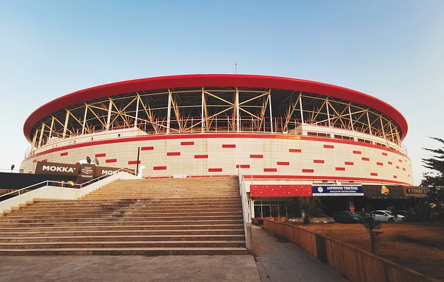 老师挥洒粉 老师挥洒粉