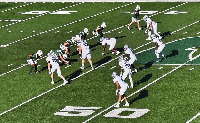 无疑是他的 无疑是他的