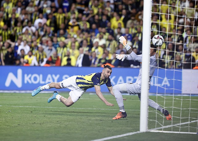 到與隊友或 到與隊友或