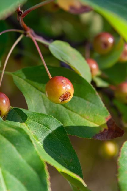 注关键对决 注关键对决