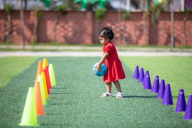 对整个联盟 对整个联盟