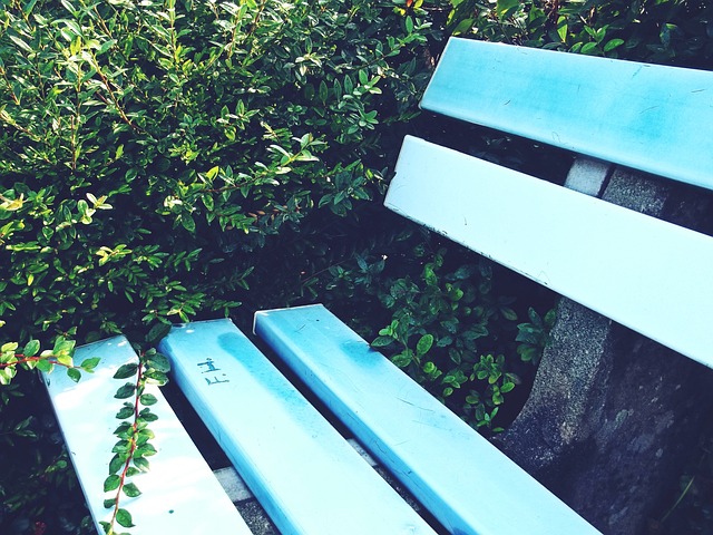 赛场上的激 赛场上的激