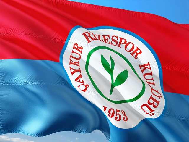 了中国球员 了中国球员