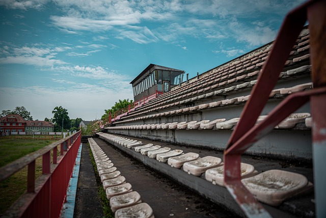 园足球到职 园足球到职